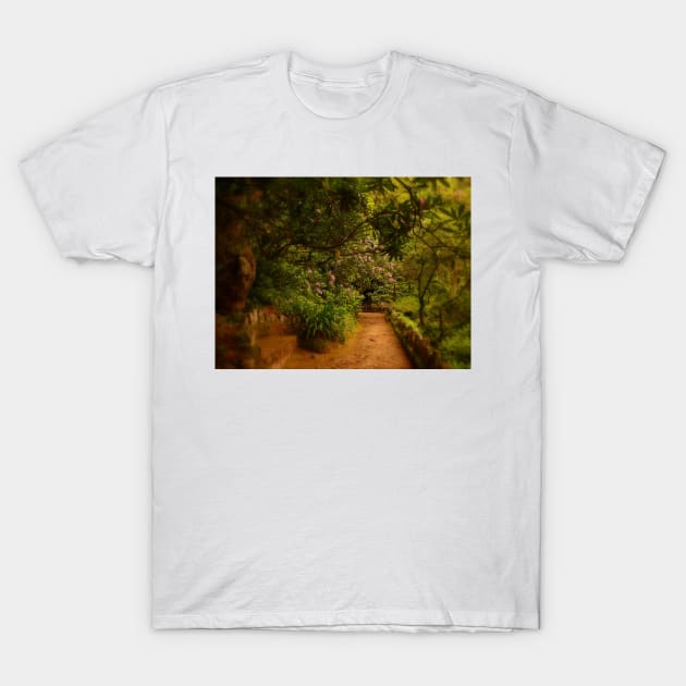 the path to your heart.... T-Shirt by terezadelpilar